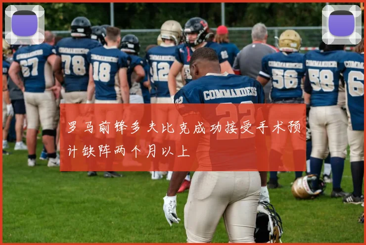 罗马前锋多夫比克成功接受手术预计缺阵两个月以上