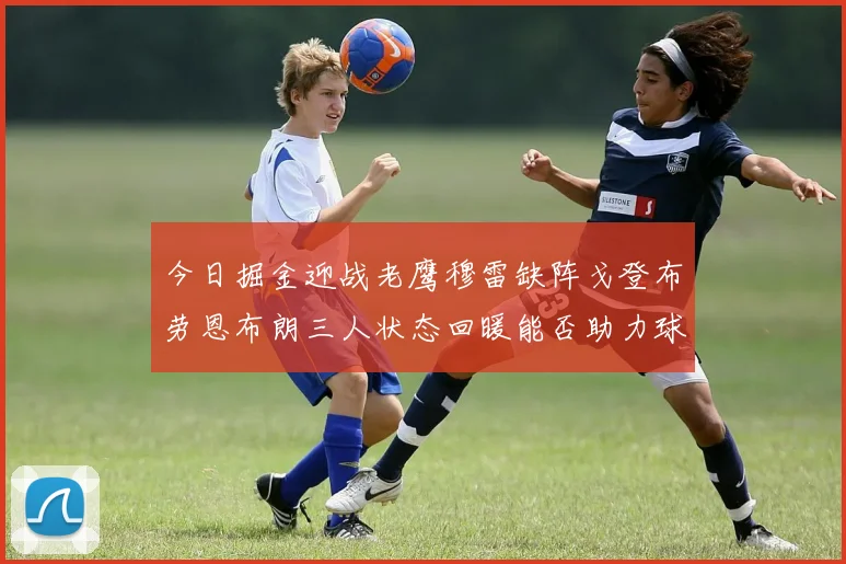 今日掘金迎战老鹰穆雷缺阵戈登布劳恩布朗三人状态回暖能否助力球队取胜
